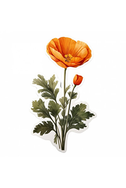 INOVATIX Set de 8 bucăți, autocolant Californian Mac, INOVATIX®. 6 cm