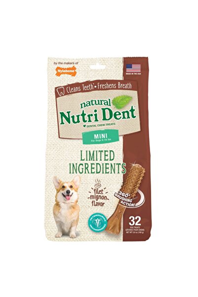 Nylabone نيوتري دنت فيليه مينيون، 32 كيسًا من حلوى صغيرة صالحة للأكل