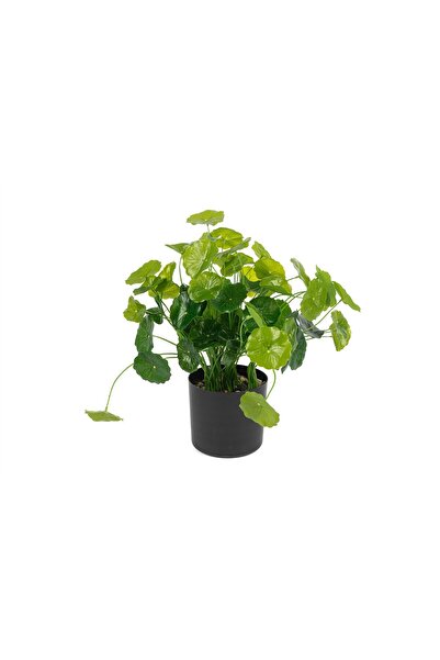 Mikasa Moor ميكاسا مور زهرة اللوتس الاصطناعية 36 سم