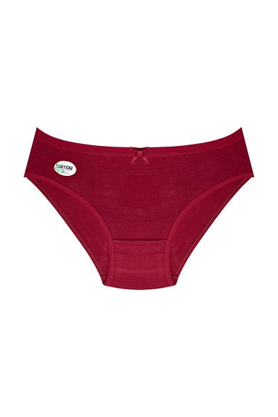 BUTİK1AVM Women's Bamboo Panties 100% Bamboo Ultra Stretchy Soft Textured Mixed Color