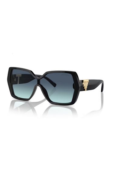 Tiffany Sunglasses 4219 80019S 29