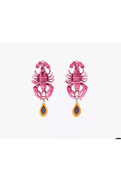 Aka Zr Model Pink Lobster Earrings