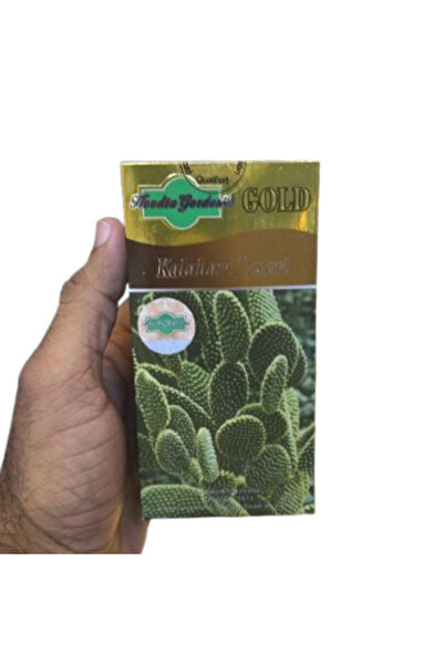 CACTUS Hoodia Gordonii Gold Kalahari Desert Original Capsule For Weight Loss
