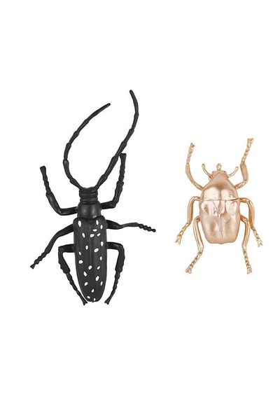 MarDyHome - Insects in Bag