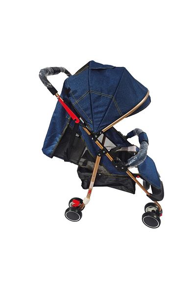 rexa stroller suitable for all public places