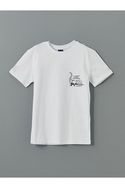 LC Waikiki Crew Neck Boy's T-Shirt