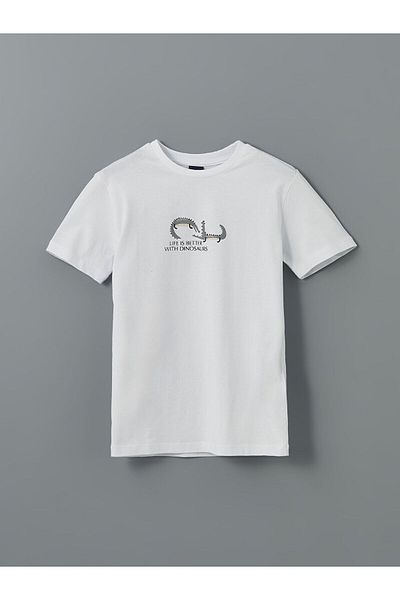 LC Waikiki Crew Neck Boy's T-Shirt