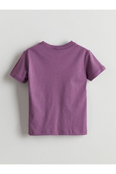 LC Waikiki Crew Neck Boy's T-Shirt