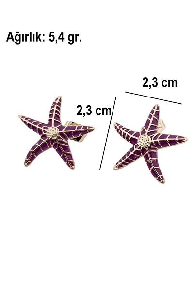 Siya Silver Gold Color Starfish Steel Earrings - 4 Different Color Options