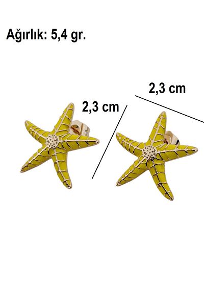 Siya Silver Gold Color Starfish Steel Earrings - 4 Different Color Options