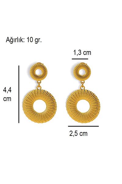 Siya Silver Double Ring Steel Earrings with Dangle