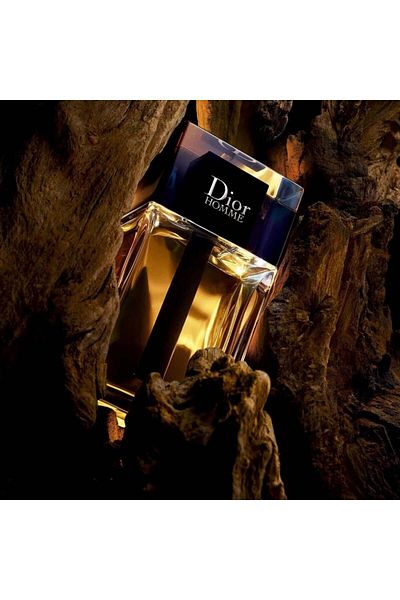 Dior Dior Homme Eau de Toilette 100ml