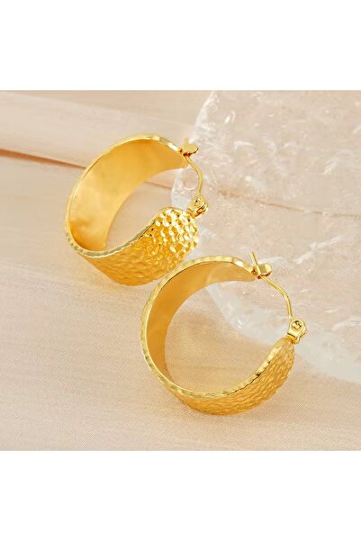 Siya Silver Desenli Yuvarlak Kararmaz Çelik Kalın Halka Küpe - 2,4 cm