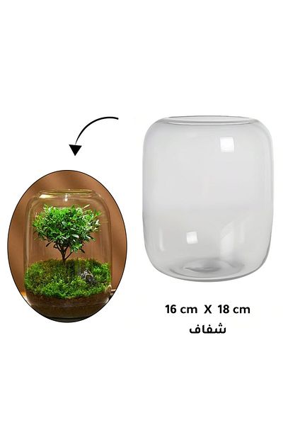 Generic Aquarium Terrarium glass tank 16x18 clear