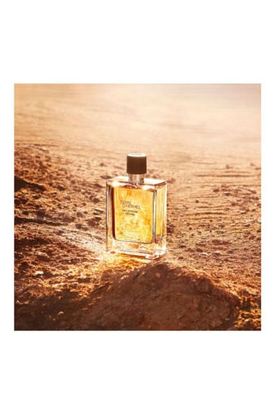 Hermes Hermes Terre D Hermes, Eau de Parfum 100 ml