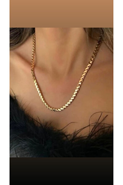 ZENA ACCESSORİES Arpa Model Gold Steel Necklace