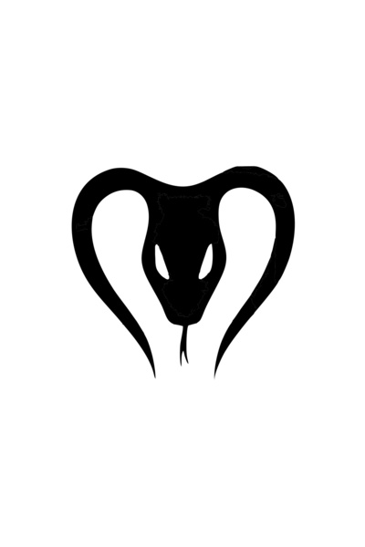 Reysa Tasarım ملصق سيارة على شكل ثعبان مقاس 17×17 سم باللون الأسود