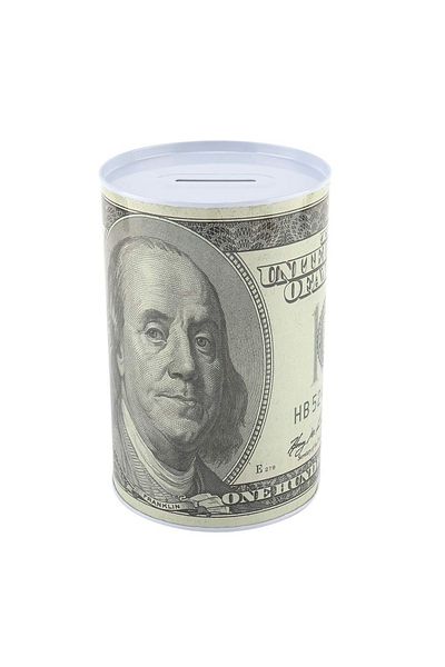 Toy Box Treasures Dollar Design Metal Piggy Bank