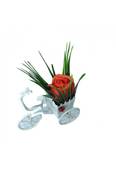 dalimag Floral Arrangement, Bicycle, Dark Orange Rose, Scented, Ladybug