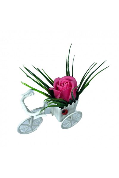 dalimag Aranjament Floral, Bicicleta, Trandafir Roz Inchis, Parfumat, Buburuza