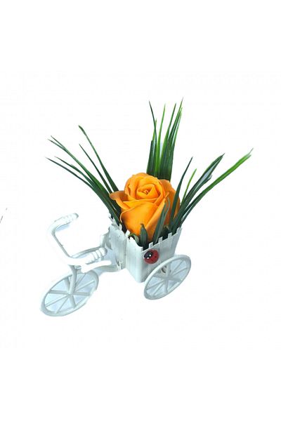dalimag Floral Arrangement, Bicycle, Orange Rose, Scented, Ladybug