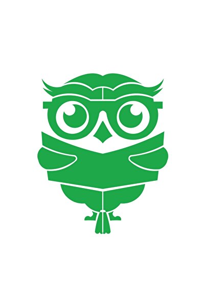 Reysa Tasarım ملصق بومة تقرأ الكتاب مقاس 17 × 17 سم باللون الأخضر