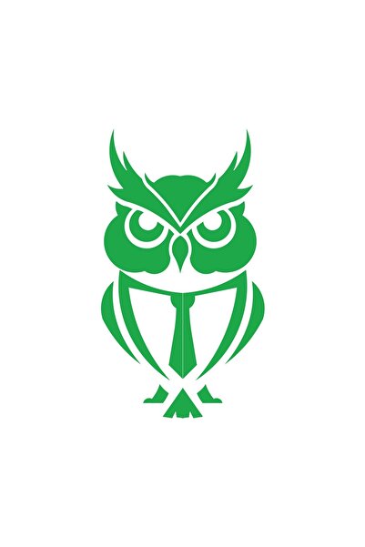 Reysa Tasarım Tie Owl Sticker 17X17 cm Green