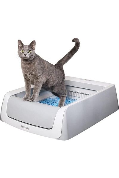 PetSafe Scoopfree 1.5 Cat Litter Box Intl