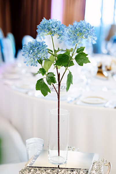 Yapay Çiçek Deposu Τεχνητό Πολυτελές Μινέρβαλλο με Μακρύ Κλαδί και Φράντζα 65 εκ. Ανοιχτό Μπλε