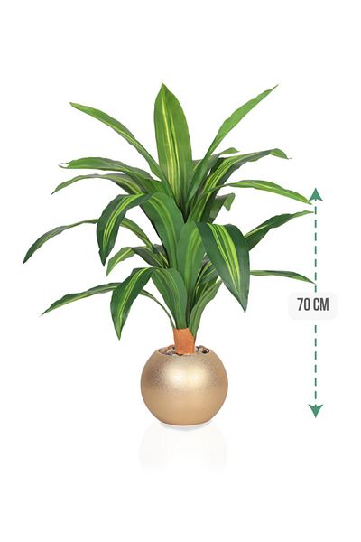 DRAMA HOME 70cm Artificial Corn Tree – A natural touch with lasting elegance