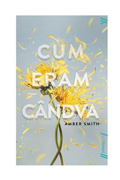 Editura Young Art Cum Eram Candva, Amber Smith
