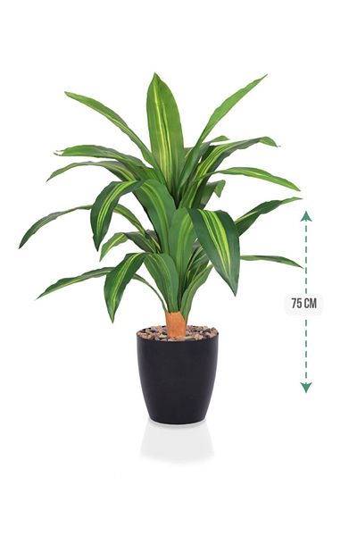 DRAMA HOME Artificial tree, simulating a soft corn tree with a natural texture, 75 cm high