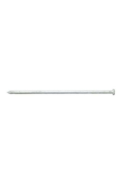 ACE Diamond Point Flat Head Hot-Dipped Galvanized Steel Spike Nail Silver 8inch