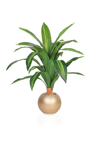DRAMA HOME 70cm Artificial Corn Tree – A natural touch with lasting elegance
