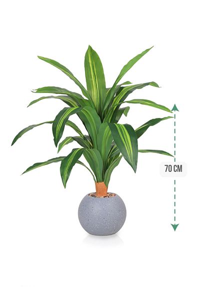DRAMA HOME 70cm Artificial Corn Tree – A natural touch with lasting elegance