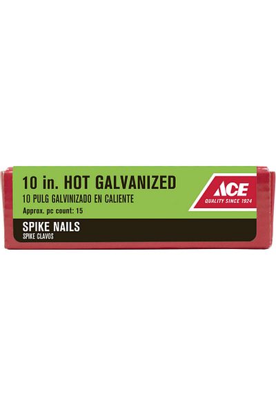 ACE Diamond Point Flat Head Hot-Dipped Galvanized Steel Spike Nail Silver 10inch