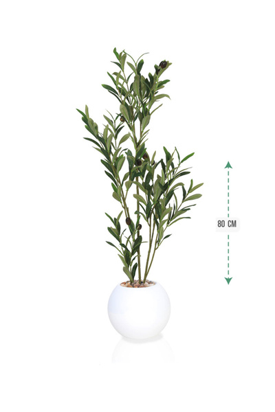 DRAMA HOME 80cm Artificial Olive Leaf Tree - A Natural Touch for Home and Off...