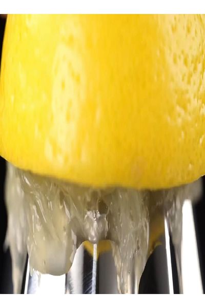 TESCOMA GrandCHEF Juicer – Manual & Durable