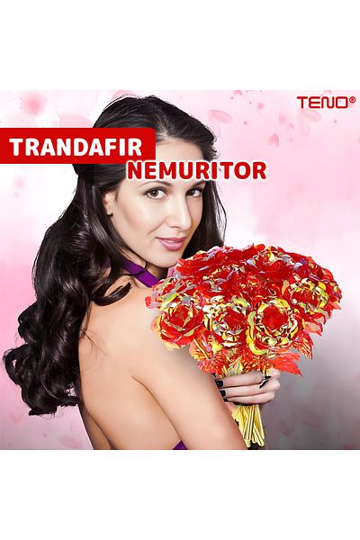 Teno Teno® Artisanal Rose, crystal effect, gold look, 22 x 13 cm, red