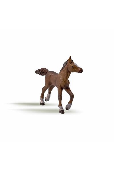 As PAPO ANGLO-ARAB BREED CALF FIGURINE