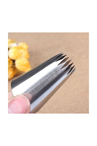 LOVYCO Stainless Steel Cream Piping Bag Tip (Whipped Cream Bag Tip, Holder) 6 Pieces + 2 Whipped Cream Bags