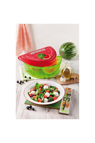 Generic Snips Lightweight Dishwasher Safe BPA Free Plastic Watermelon Saver G...