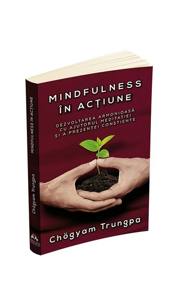 Editura Herald Mindfulness in action - Harmonious development with the help of meditation and present consciousness