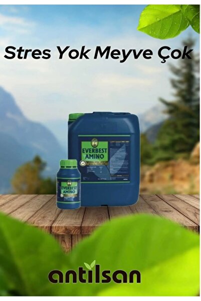 ANTİLSAN EVERBEST AMİNO 5 LT