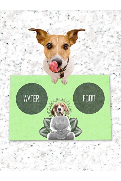 Patipeti طعام للكلاب والقطط وقاعدة تدريب مع قاعدة مضادة للانزلاق