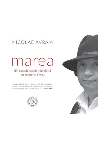 Editura Scoala Ardeleana Marea Din Spatele Caselor De Piatra Cu Acoperisul