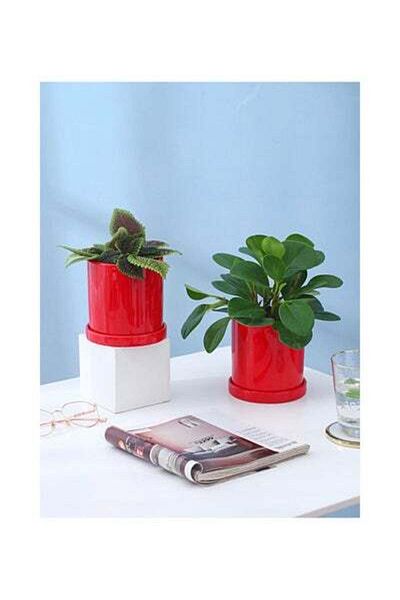 HALAMODO 2pcs Cylindrical Tabletop Ceramic Flowerpots Plant Pot With Tray For Home Balcony Red 11x11x11cm