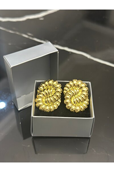 staınless steel Endless Twist Steel Earrings