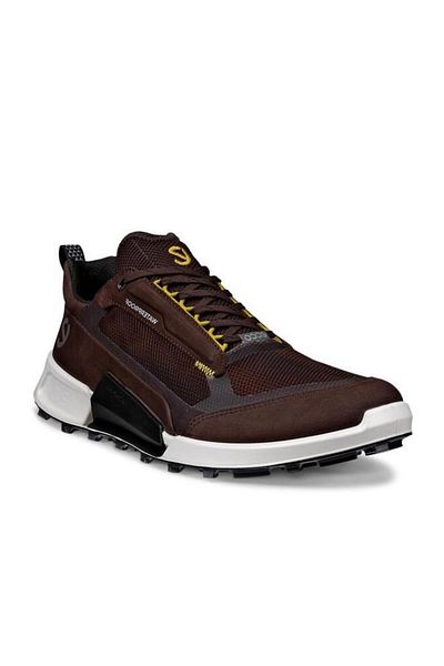 Ecco Biom 2.1 X Mountain M Mocha