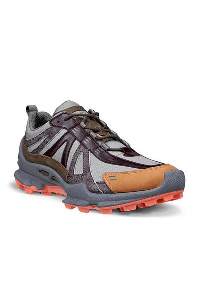 Ecco Biom C-Trail M Steel